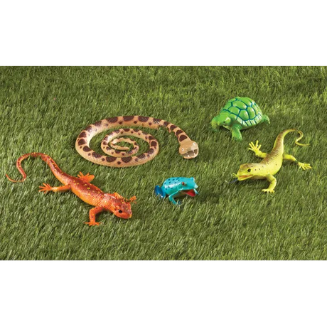 Jumbo Reptiles & Amphibians - Modern Teaching Aids NZ