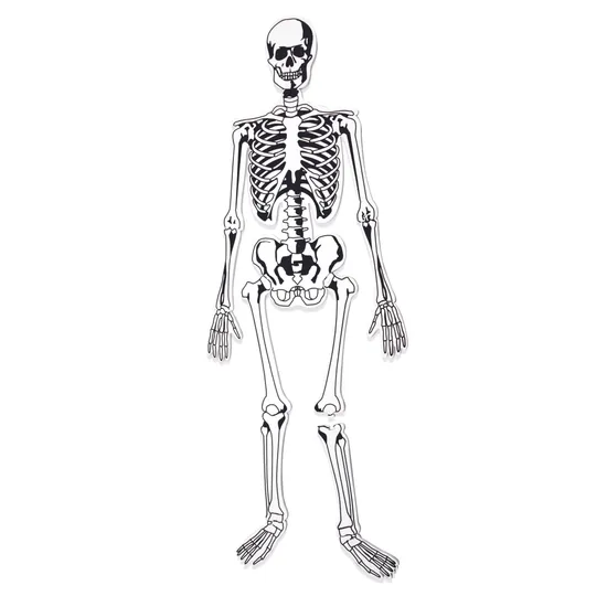 Skeleton Floor Puzzle - 15 Pieces - Modern Teaching Aids NZ