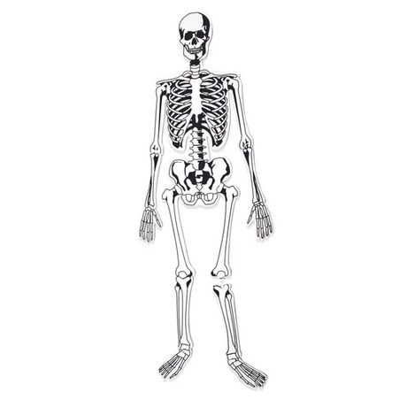 Skeleton Floor Puzzle - 15 Pieces - Modern Teaching Aids NZ