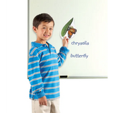 Giant Magnetic Butterfly Life Cycle Set - 9 Pieces - Modern Teaching Aids NZ