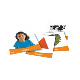 Basic Vocabulary Photo Cards - Modern Teaching Aids NZ