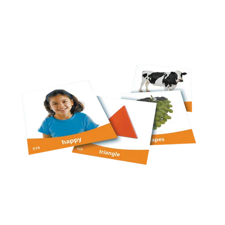 Basic Vocabulary Photo Cards - Modern Teaching Aids NZ