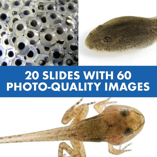 GeoSafari Jr. Talking Microscope - Modern Teaching Aids NZ