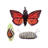 Hands on STEM - Modern Teaching Aids NZ