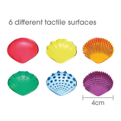 Transparent Tactile Shells - 36 pieces - Modern Teaching Aids NZ