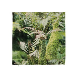 Fern Cushion Cover - 50 x 50cm - Modern Teaching Aids NZ