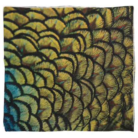 Feathers Outdoor Cushion Cover - 100 x 100cm - Modern Teaching Aids NZ