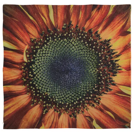Sunflower Outdoor Cushion - 100cm x 100cm - Modern Teaching Aids NZ