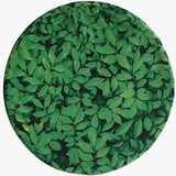 MTA Spaces - Round Nature Floor Cushions -Set of 5 - Modern Teaching Aids NZ