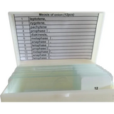 Slide Set - Meiosis of Onion - 12 pieces - Modern Teaching Aids NZ