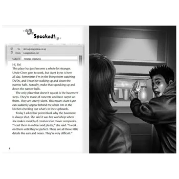 Our Mysterious Aunt - Modern Teaching Aids NZ