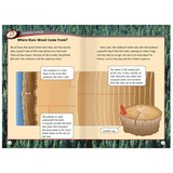 Timber! - Modern Teaching Aids NZ