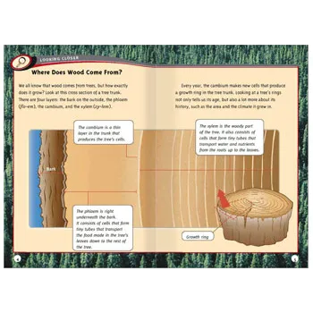 Timber! - Modern Teaching Aids NZ