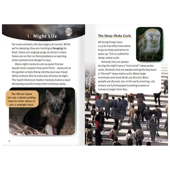 Night Creatures - Modern Teaching Aids NZ