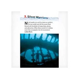 Wreck Trek  Level 31 - Modern Teaching Aids NZ