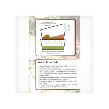 Recycling Rubbish  Level 31 - Modern Teaching Aids NZ