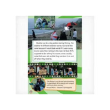 The Big Picture  Level 31 - Modern Teaching Aids NZ