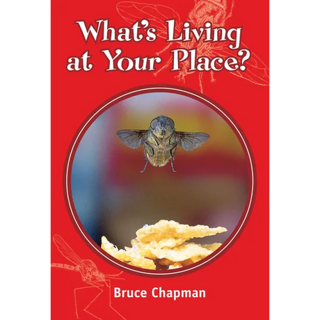 What's Living at Your Place?  Level 25-26 - Modern Teaching Aids NZ