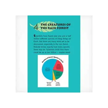 The Living Rain Forest Level 25-26 - Modern Teaching Aids NZ