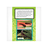 Hawaiian Magic  lev 29-30 - Modern Teaching Aids NZ