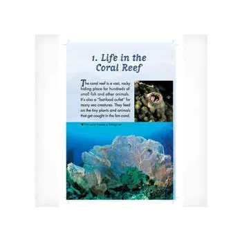 Creatures of the Reef  Levels- 27-28 - Modern Teaching Aids NZ