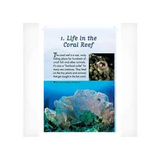Creatures of the Reef  Levels- 27-28 - Modern Teaching Aids NZ