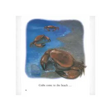 Moon Moon Level 12-14 - Modern Teaching Aids NZ