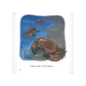 Moon Moon Level 12-14 - Modern Teaching Aids NZ