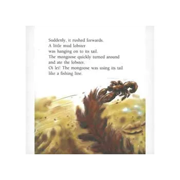 A Mongoose Tale Level 15-16 - Modern Teaching Aids NZ