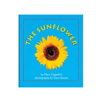 Sunflower - Modern Teaching Aids NZ