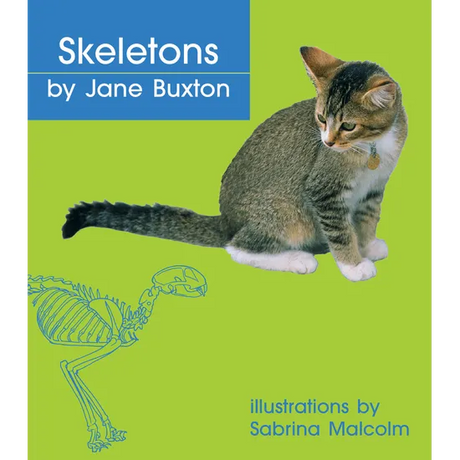 Skeletons  Level 9-11 - Modern Teaching Aids NZ