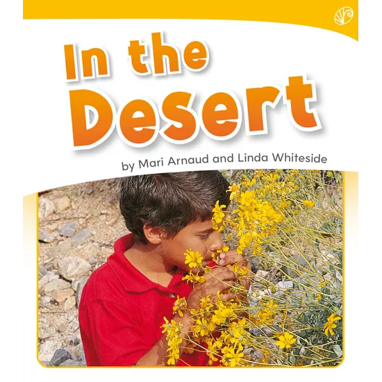 In the Desert Level 6-8 - Modern Teaching Aids NZ