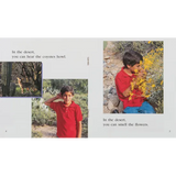 In the Desert Level 6-8 - Modern Teaching Aids NZ