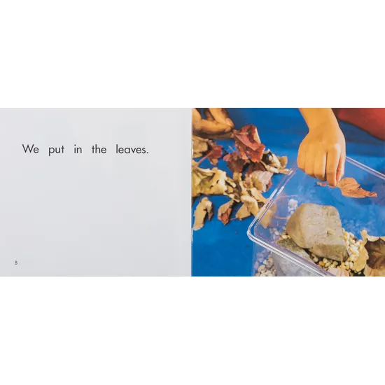 Snails  Levels 1-2 - Modern Teaching Aids NZ