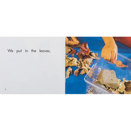 Snails  Levels 1-2 - Modern Teaching Aids NZ