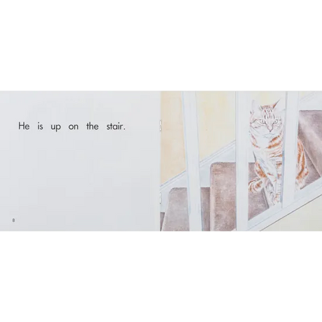 My Cat  Levels 1-2 - Modern Teaching Aids NZ