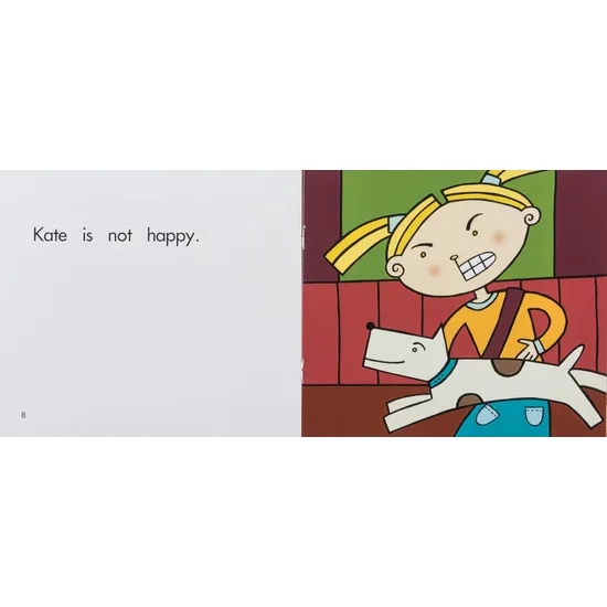 In the Car  Levels 1-2 - Modern Teaching Aids NZ