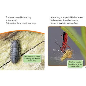 True Bugs Levles 9-11 - Modern Teaching Aids NZ