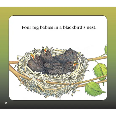 Blackbird's Nest  Level 9-11 - Modern Teaching Aids NZ