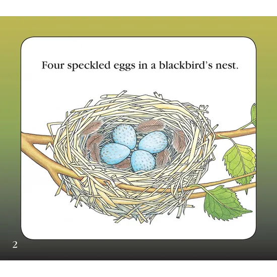 Blackbird's Nest  Level 9-11 - Modern Teaching Aids NZ