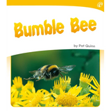 Bumble Bee  Level 6-8 - Modern Teaching Aids NZ