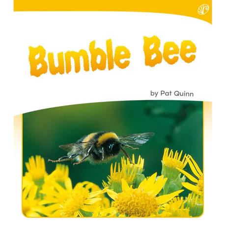 Bumble Bee  Level 6-8 - Modern Teaching Aids NZ