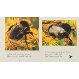 Bumble Bee  Level 6-8 - Modern Teaching Aids NZ