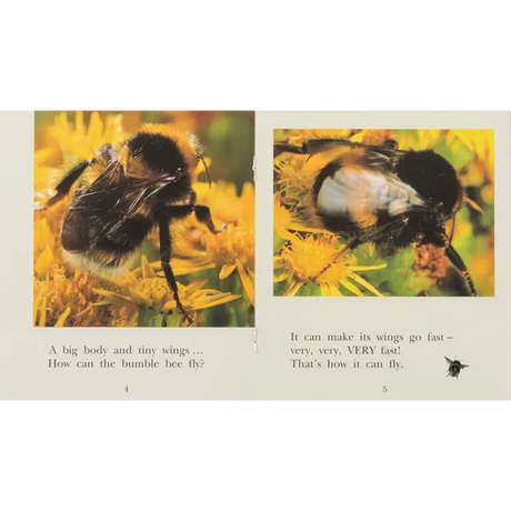 Bumble Bee  Level 6-8 - Modern Teaching Aids NZ