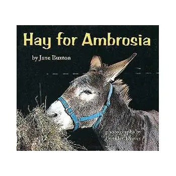 Hay for Ambrosia  Level 12-14 - Modern Teaching Aids NZ