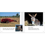 Hay for Ambrosia  Level 12-14 - Modern Teaching Aids NZ