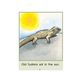 Old Tuatara - Modern Teaching Aids NZ