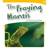 The Praying Mantis  Level 6-8 - Modern Teaching Aids NZ