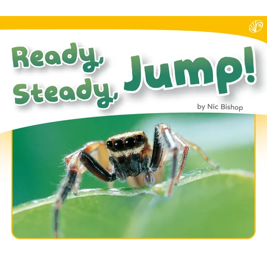 Ready, Steady, Jump!  Level 6-8 - Modern Teaching Aids NZ