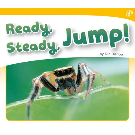 Ready, Steady, Jump!  Level 6-8 - Modern Teaching Aids NZ